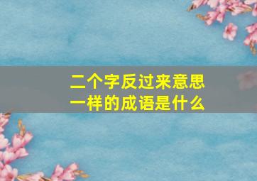 二个字反过来意思一样的成语是什么