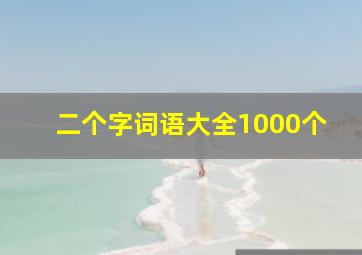 二个字词语大全1000个