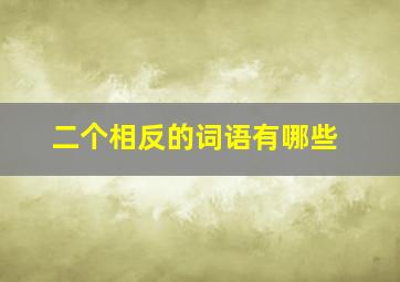 二个相反的词语有哪些