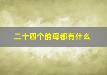 二十四个韵母都有什么