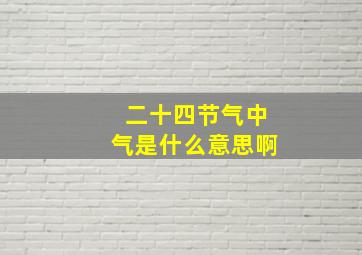 二十四节气中气是什么意思啊