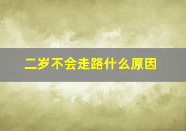 二岁不会走路什么原因