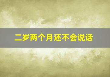 二岁两个月还不会说话