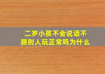 二岁小孩不会说话不跟别人玩正常吗为什么