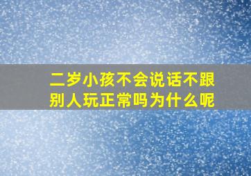 二岁小孩不会说话不跟别人玩正常吗为什么呢