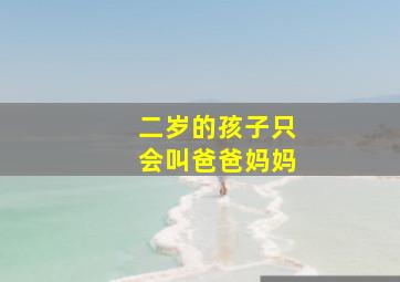 二岁的孩子只会叫爸爸妈妈