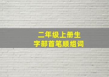 二年级上册生字部首笔顺组词