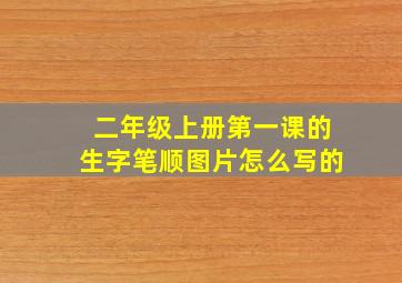 二年级上册第一课的生字笔顺图片怎么写的