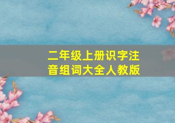 二年级上册识字注音组词大全人教版