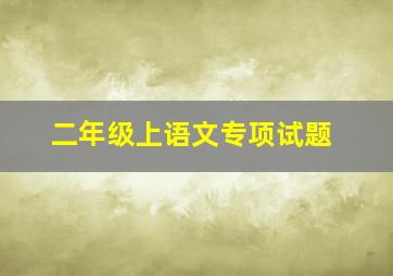 二年级上语文专项试题