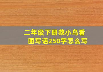 二年级下册救小鸟看图写话250字怎么写