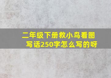 二年级下册救小鸟看图写话250字怎么写的呀