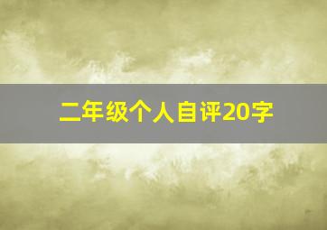 二年级个人自评20字