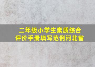 二年级小学生素质综合评价手册填写范例河北省