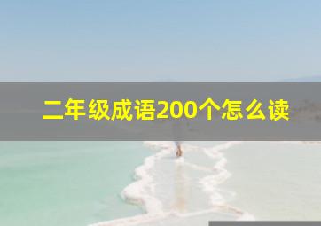 二年级成语200个怎么读