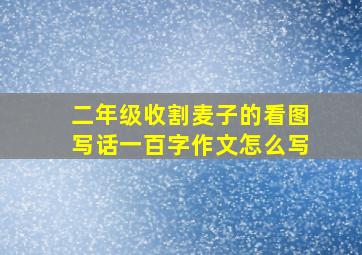 二年级收割麦子的看图写话一百字作文怎么写