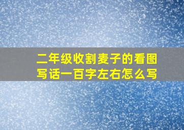 二年级收割麦子的看图写话一百字左右怎么写