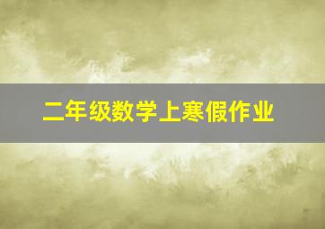 二年级数学上寒假作业