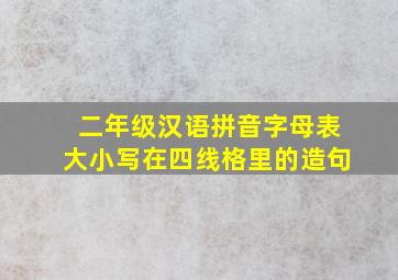 二年级汉语拼音字母表大小写在四线格里的造句