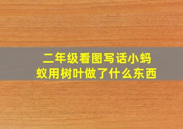 二年级看图写话小蚂蚁用树叶做了什么东西