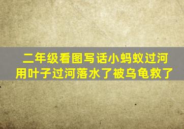 二年级看图写话小蚂蚁过河用叶子过河落水了被乌龟救了