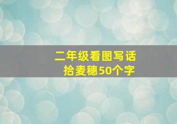 二年级看图写话拾麦穗50个字