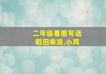 二年级看图写话稻田乘凉,小鸡