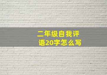 二年级自我评语20字怎么写