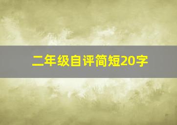 二年级自评简短20字