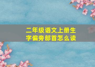 二年级语文上册生字偏旁部首怎么读