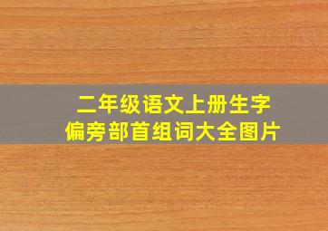 二年级语文上册生字偏旁部首组词大全图片