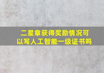 二星章获得奖励情况可以写人工智能一级证书吗