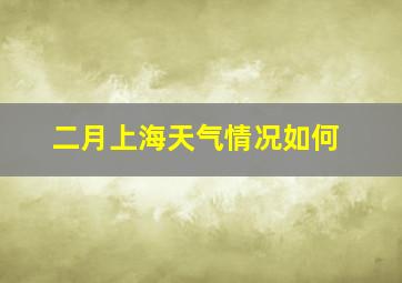 二月上海天气情况如何