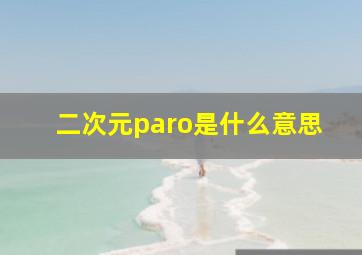 二次元paro是什么意思