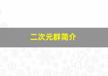 二次元群简介