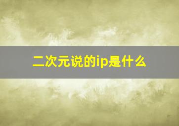 二次元说的ip是什么