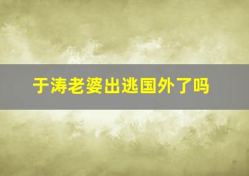 于涛老婆出逃国外了吗