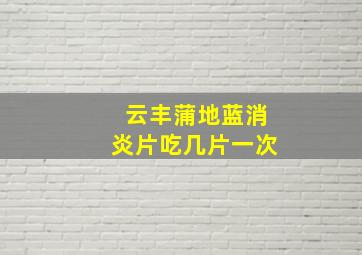 云丰蒲地蓝消炎片吃几片一次