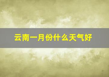 云南一月份什么天气好