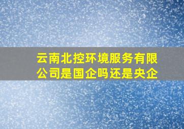 云南北控环境服务有限公司是国企吗还是央企