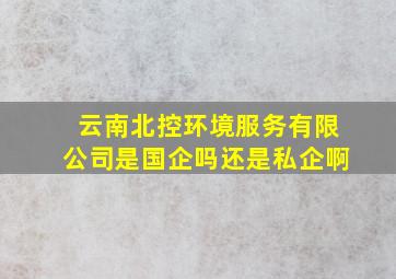 云南北控环境服务有限公司是国企吗还是私企啊