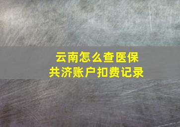 云南怎么查医保共济账户扣费记录