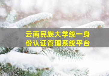 云南民族大学统一身份认证管理系统平台