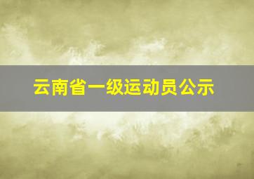 云南省一级运动员公示