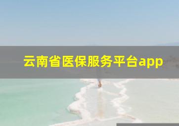 云南省医保服务平台app