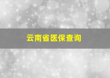 云南省医保查询