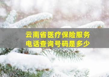 云南省医疗保险服务电话查询号码是多少