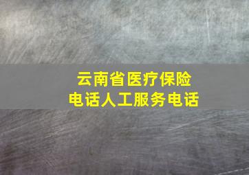 云南省医疗保险电话人工服务电话