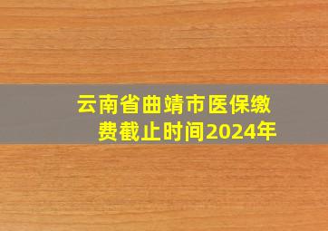 云南省曲靖市医保缴费截止时间2024年