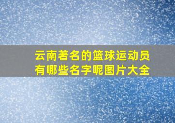 云南著名的篮球运动员有哪些名字呢图片大全